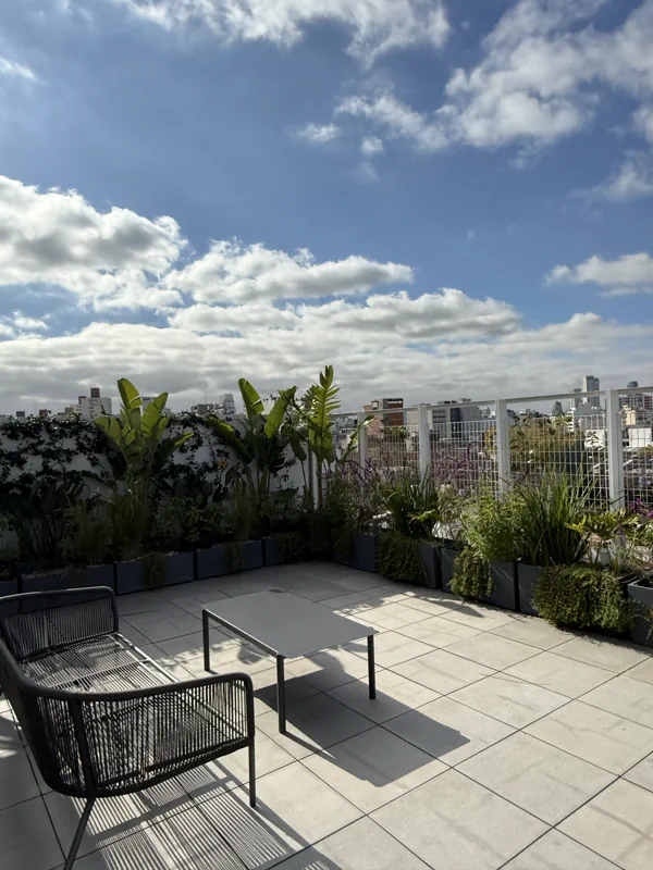 Canteros de follaje tropical rodeando el solárium de la terraza