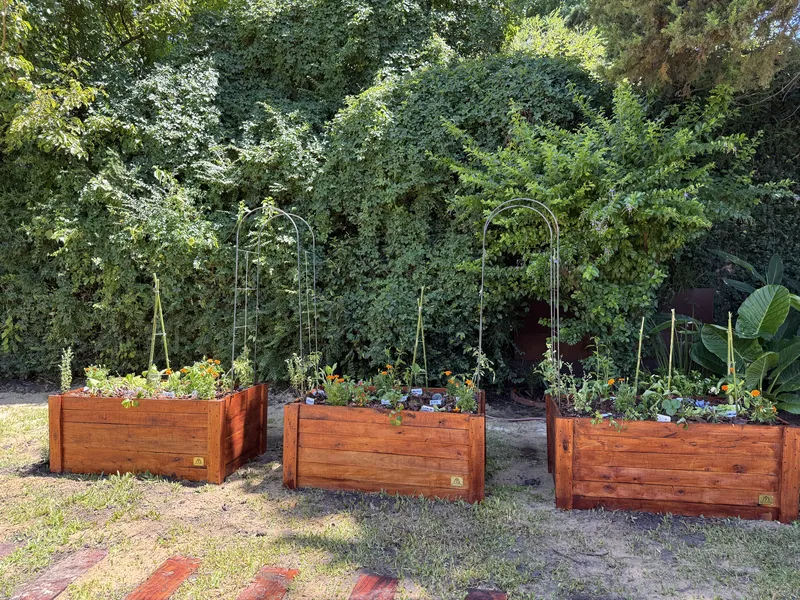 Huerta en tres cajones de madera sobre el césped