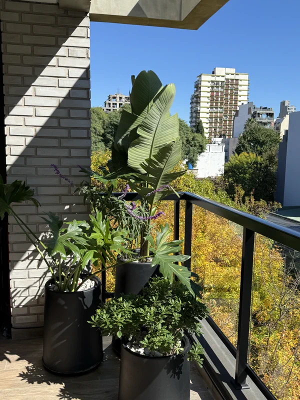 Strelitzias y macetas junto a la baranda del balcón