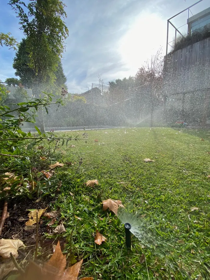 Aspersores regando el césped de un jardín terminado a contraluz